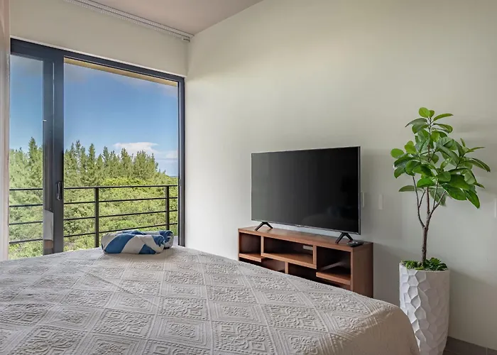 Hébergement de vacances Luxury 2bd 2ba Ocean View 200m From Playa del Carmen